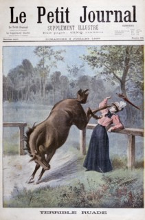 A young woman is kicked by a horse, 1898. Artist: Henri Meyer