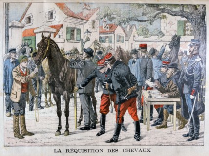 The French army buying horses, 1904. Artist: Unknown