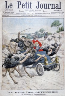 Ostriches attacking a car, California, USA, 1904. Artist: Unknown