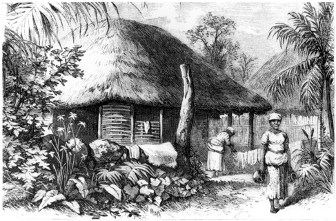 Native habitation, Santo Domingo, 1873. Artist: Unknown