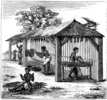 Tobacco preparation, 1873. Artist: Unknown
