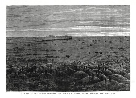 The Pampas railroad, South American lowlands, 1877. Artist: Unknown