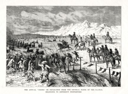 Rodeo, South America, 1877. Artist: Unknown