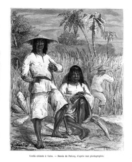 Chinese workers, Cuba, 19th century.  Creator: Jules Pelcoq.