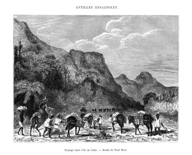 Landscape in the island of Cuba, 19th century. Artist: Paul Huet