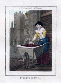 'Cherries', St James's Palace, London, 1805. Artist: Unknown