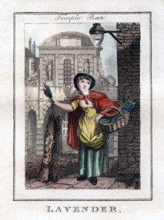 'Lavender', Temple Bar, London, 1805. Artist: Unknown