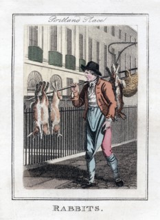 'Rabbits', Portland Place, London, 1805. Artist: Unknown