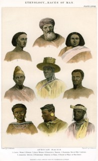 'Ethnology, Races of Man', 1800-1900.Artist: R Anderson