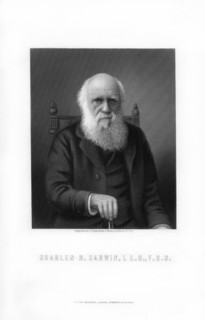 Charles Darwin, British naturalist, (1899).Artist: C Cook