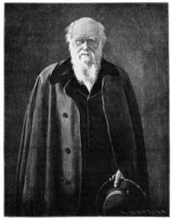 Charles Darwin, renowned naturalist and thinker, (1900) Artist: Unknown