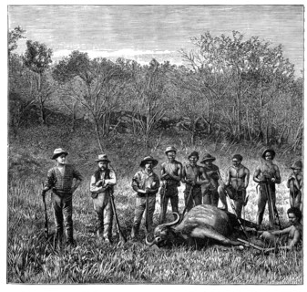 Buffalo hunters in the Transvaal, South Africa, c1890. Artist: Unknown