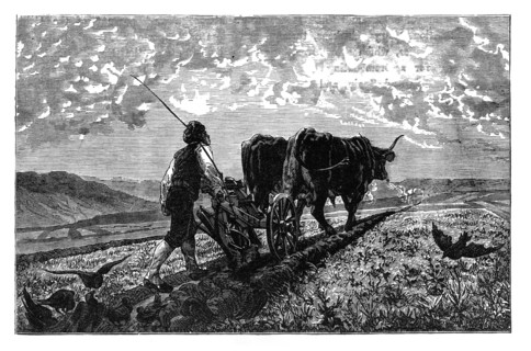 A French agriculturist, c1890. Artist: Unknown