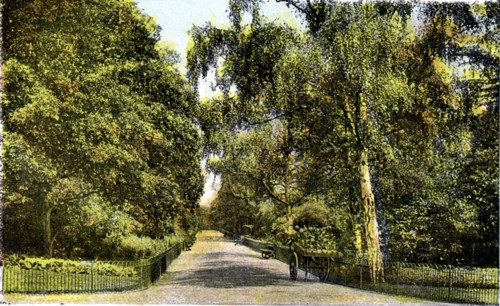 The Flower Walk, Kensington Gardens, London, 20th Century. Artist: Unknown