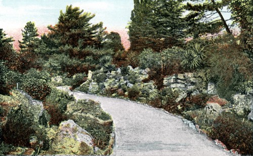 The Rockery, Kew Gardens, Richmond upon Thames, London, 20th Century. Artist: Unknown