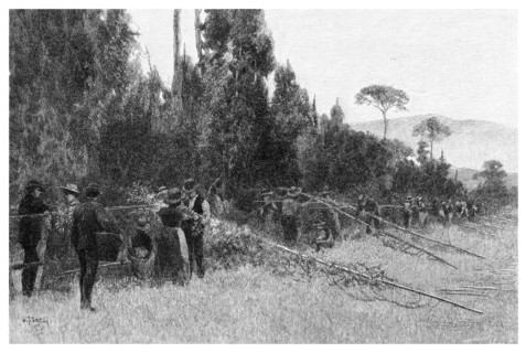 Hop Picking near Bairnsdale, Australia, 1886. Artist: Unknown