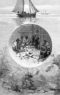 Pearl Fishery, Torres Strait, Australia, 1886. Artist: Unknown