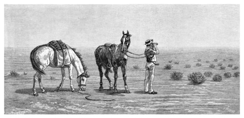 'Nothing in Sight', 1886.Artist: Frank P Mahony