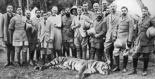 The Prince of Wales tiger shooting in Nepal, the Indian Tour, 1921. Artist: Unknown