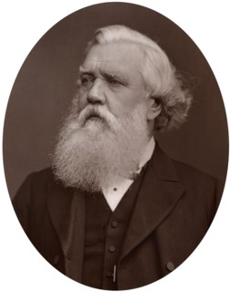 Right Hon Austen Henry Layard DCL, British Ambassador to Constantinople, 1877.Artist: Lock & Whitfield