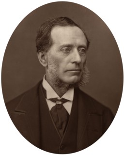Sir Francis Leopold McClintock, admiral, 1878.Artist: Lock & Whitfield