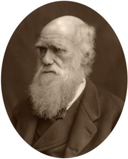 Charles Darwin, 1878.Artist: Lock & Whitfield