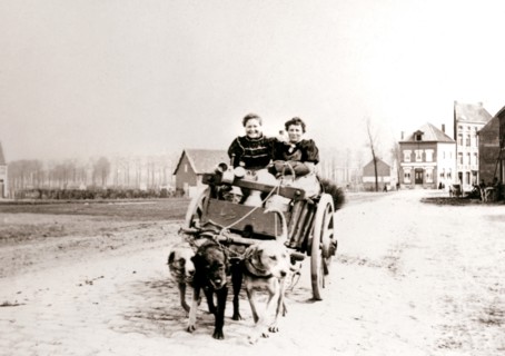 Dogs pulling women on a cart, Antwerp, 1898.Artist: James Batkin