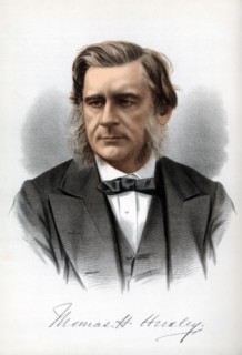 Thomas Henry Huxley, English biologist, c1890.Artist: Cassell, Petter & Galpin