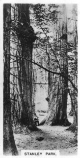 Stanley Park, Vancouver, Canada, c1920s. Artist: Unknown