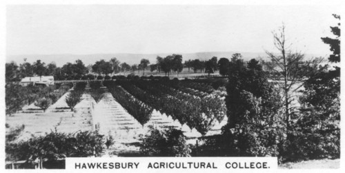 Hawkesbury Agricultural College, New South Wales, Australia, 1928. Artist: Unknown