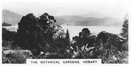The Botanical Gardens, Hobart, Tasmania, 1928. Artist: Unknown
