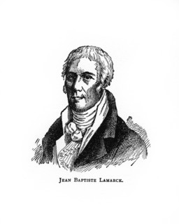 Jean-Baptiste Lamarck, French naturalist, (20th century). Artist: Unknown