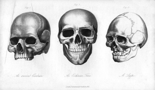 Ancient Cimbrian, Esthonian Finn, Lappe, 1848. Artist: Unknown