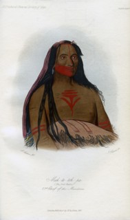 'Mah-to-toh-pa, (The Four Bears), 2nd Chief of the Mandans', 1848.Artist: Harris