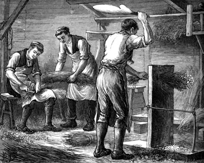 Hand-scutchers at work, c1880. Artist: Unknown