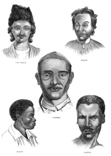 'Mongolian Races', 19th century. Artist: Unknown