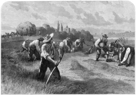 'Haymaker', 1875.Artist: W Hollidge