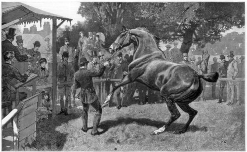Sale of Hunters Raising and objection, 1885. Artist: Unknown