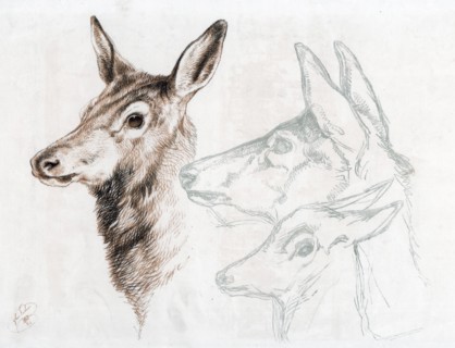 Facsimile of a drawing by Sir E Landseer, 1874.Artist: Edwin Henry Landseer