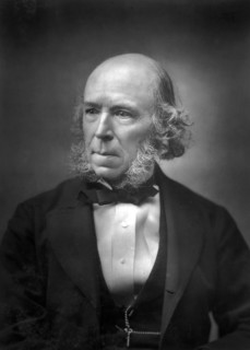 Herbert Spencer (1820-1903), late 19th century. Artist: Unknown