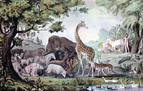 'Adam Naming the Creatures', 1847. Creator: Nathaniel Currier.