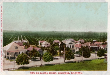 Castro Street, Hayward, California, 1905. Artist: Unknown