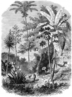 'View of the Spanish Main, Guatemala', 1877. Artist: Unknown