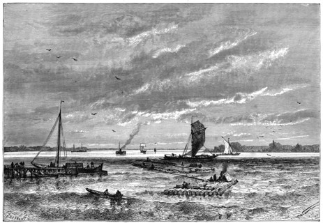 The Dvina, from Archangel, Russia, 1879.Artist: Barbant