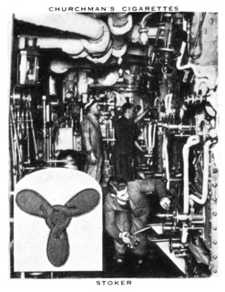 Stoker, 1937.Artist: WA & AC Churchman