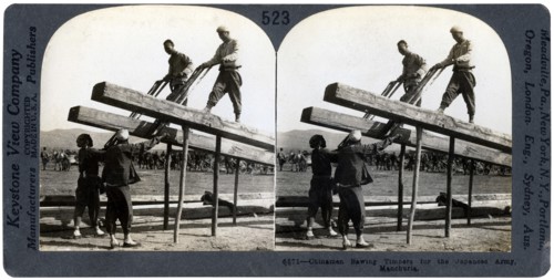 Chinese men sawing timber for the Japanese army, Manchuria, Russo-Japanese war, 1904-1905.Artist: Keystone
