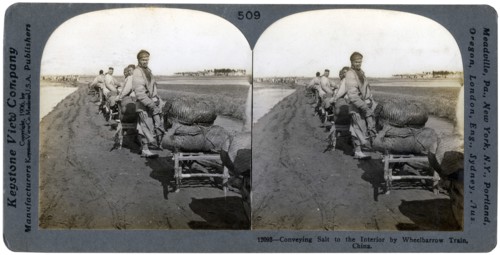 Conveying salt to the interior by wheelbarrow train, China, 1906. Artist: Keystone