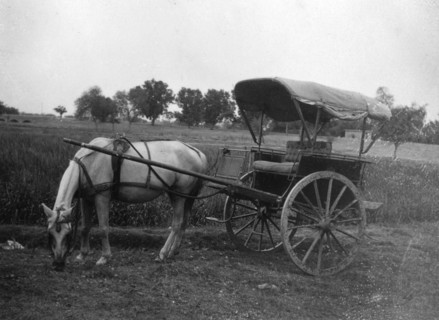 Tonga (horse cart), Muttra, India, 1917. Artist: Unknown