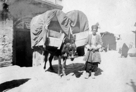 Persian donkey transport, Baghdad, Iraq, 1917-1919. Artist: Unknown