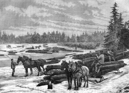 Canadian loggers, 19th century.Artist: Taylor